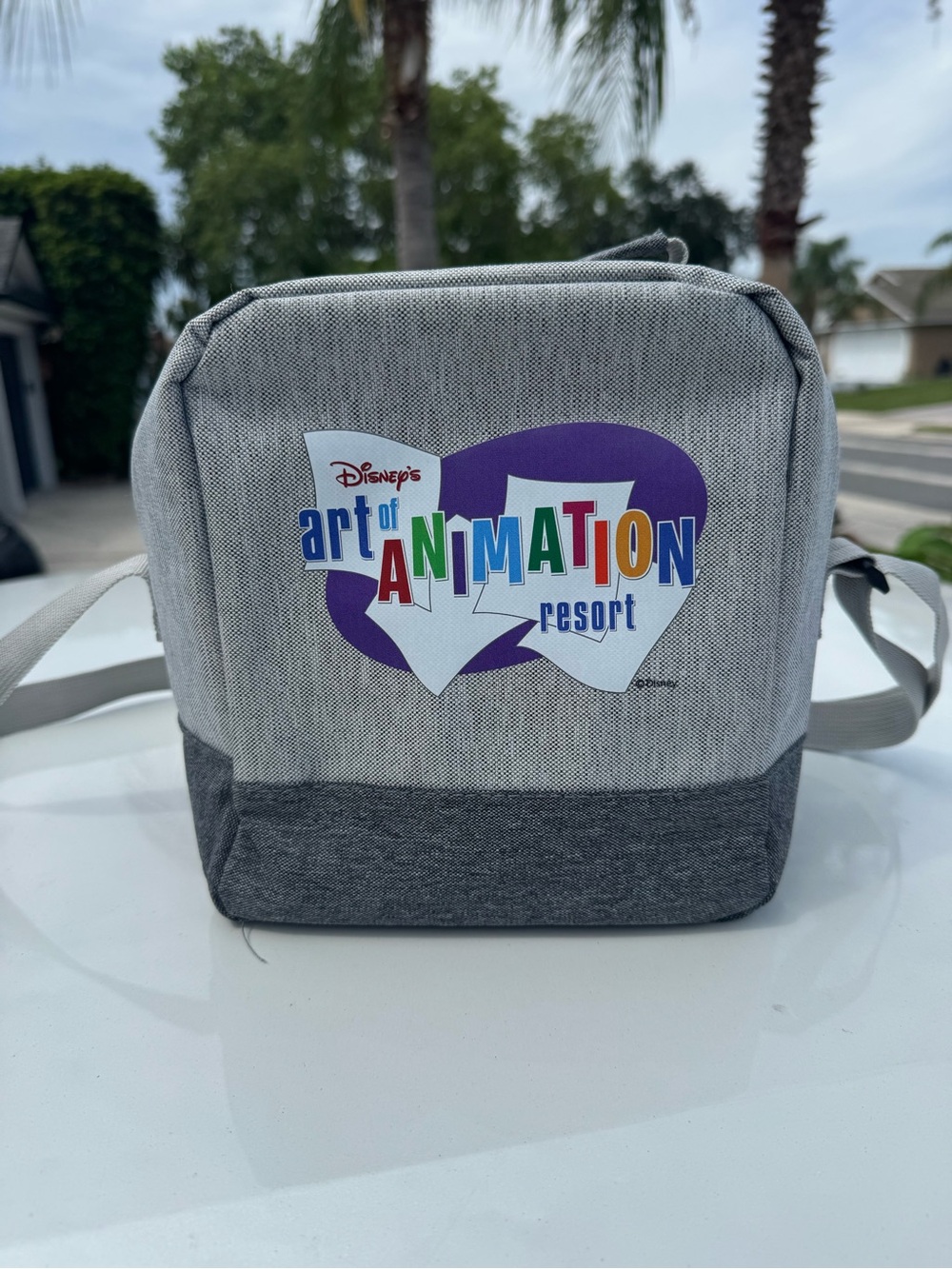 Disney Art of Animation Resort Gray Lunch Bag